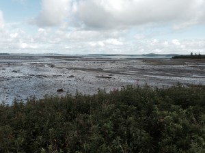 Low tide in Passamaquoddy Bay near Quoddy Head.